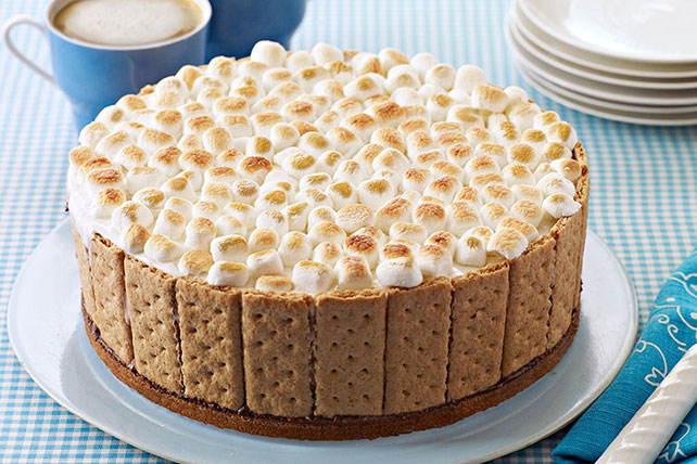 S'mores Ice Cream Cake