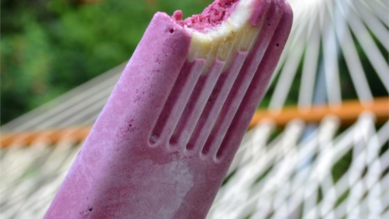 Fresh Fruit and Yogurt Ice Pops