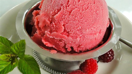 Wild Raspberry Sherbet