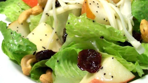 Winter Fruit Salad with Lemon Poppyseed Dressing