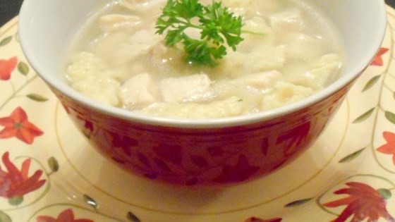 Chicken and Dumplings I