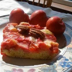 Plum Custard Kuchen