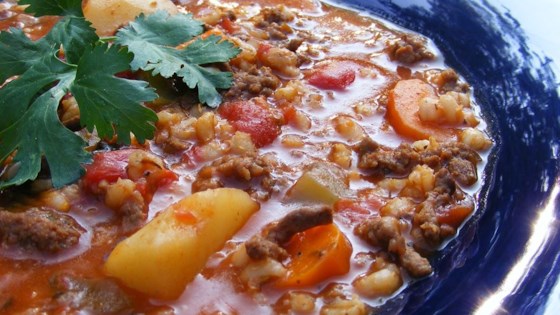 Hearty Hamburger Soup