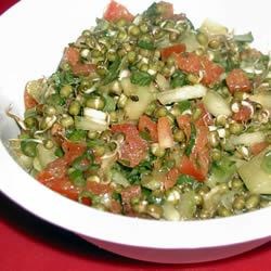 Sprouted Lentil Salad