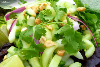 Cucumber Salad Recipes