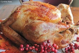 Thanksgiving Turkey Recipes