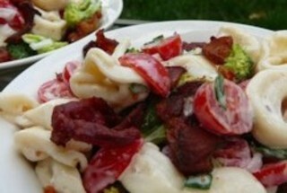 Tortellini Pasta Salad Recipes